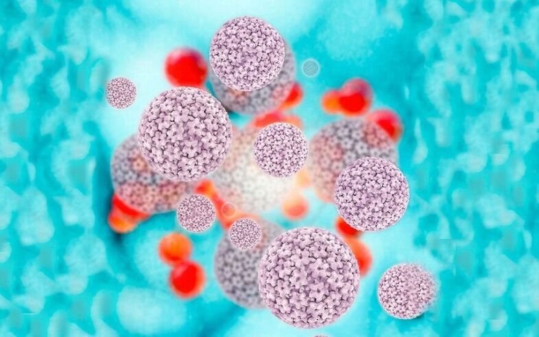يسبب فيروس الورم الحليمي البشري أورامًا حليمية على الشفرين