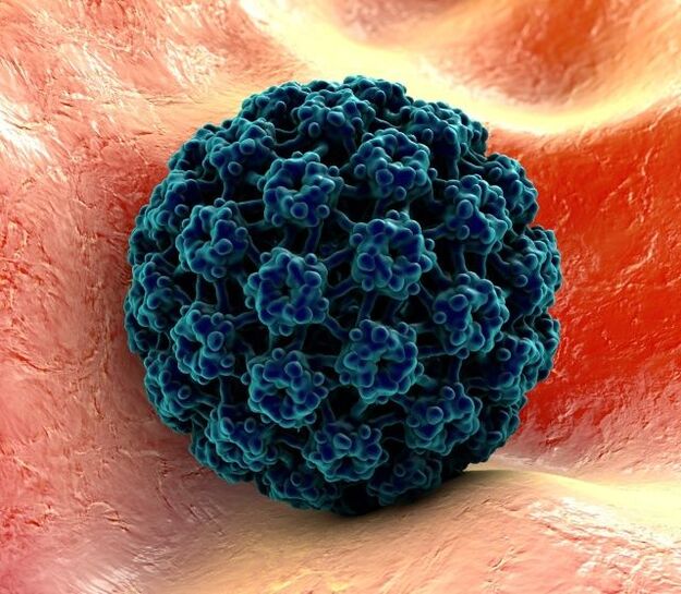 نموذج ثلاثي الأبعاد لفيروس الورم الحليمي البشري الذي يسبب الثآليل على اليدين