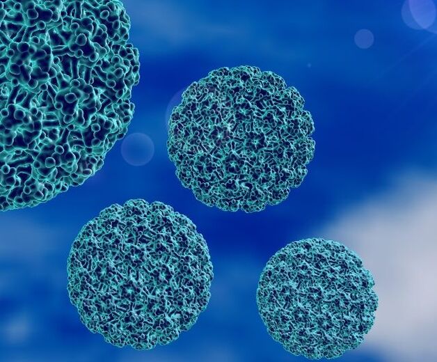 نموذج ثلاثي الأبعاد لفيروس الورم الحليمي البشري الذي يسبب ثآليل الكعب
